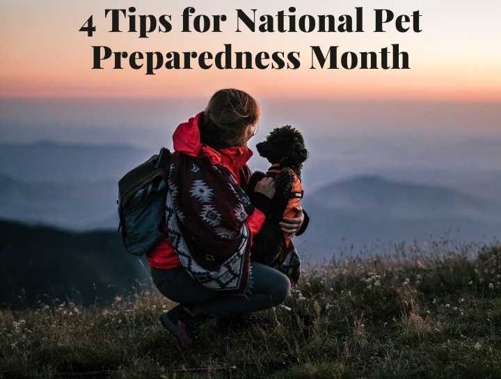 4 Tips for National Pet Preparedness Month